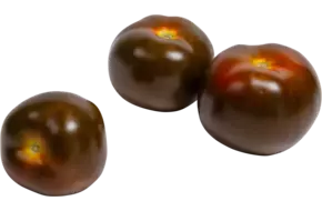 Kumato tomaten verpakt 500gr